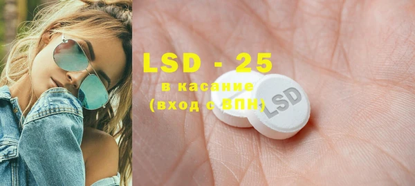 индика Аркадак