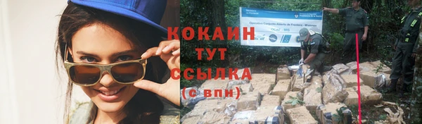 мяу мяу мука Армянск