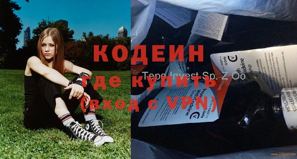 индика Аркадак