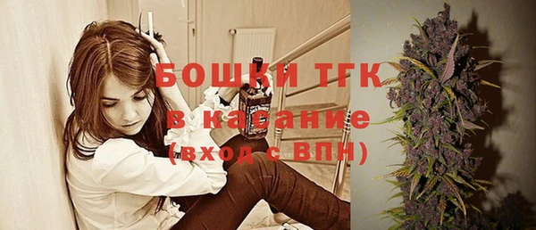гашик Арсеньев